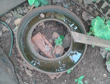 Secretaria de Saúde alerta para os cuidados contra o mosquito Aedes Aegypti