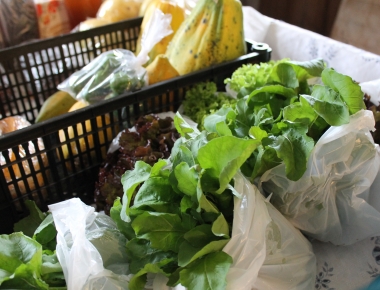 Mercedes receberá 1° Workshop da Agroindústria Familiar no dia 10 de julho 