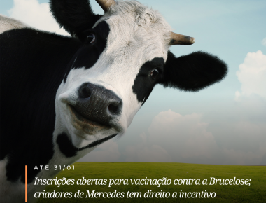 Abertas as inscrições para vacinação contra a Brucelose; criadores de Mercedes tem direito a incentivo financeiro