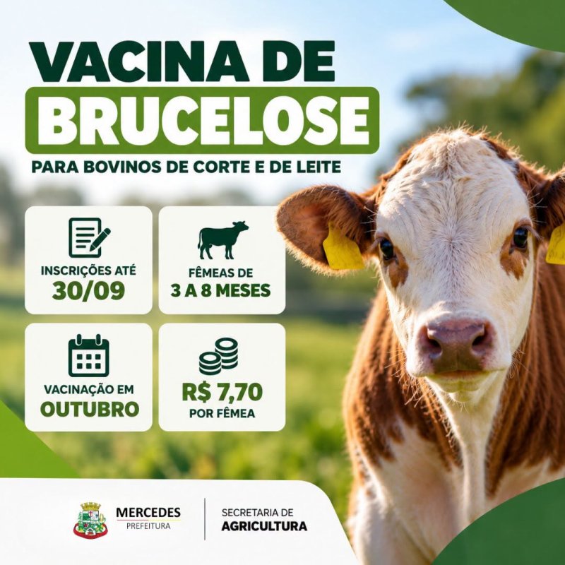 Inscrições abertas para vacinação contra brucelose